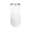 Benevento One-Piece Toilet (Black & White) - Image 4